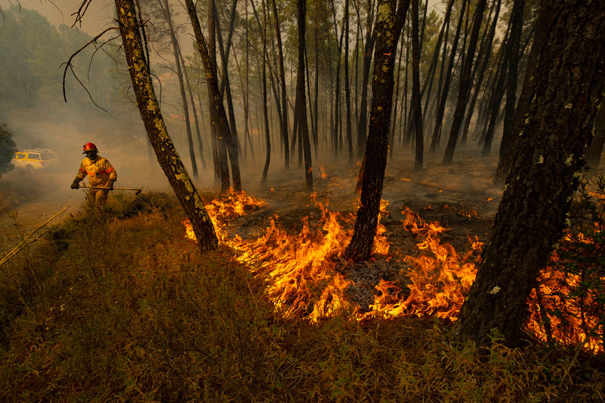 5 things you need to know about the Amazon fire. Photo :  AP