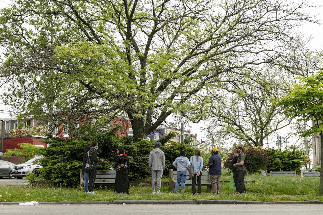 The Philly Tree Plan is planning to have a final draft completed by 2022. Photo: Sahar Coston / Philly Tree Plan