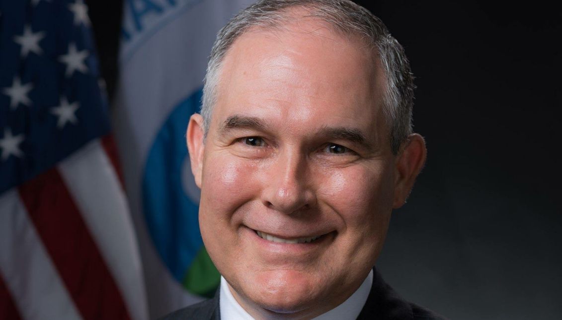 Scott Pruitt, the EPA administrator, has chosen not to renew the terms of nine of the 18-member board of scientific counselors, which advises the EPA on the quality and accuracy of the science it produces. Photo: Wikipedia
