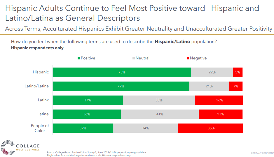 Graphic pointing out preferences on Latinos general descriptors. Chart: Collage Group. 