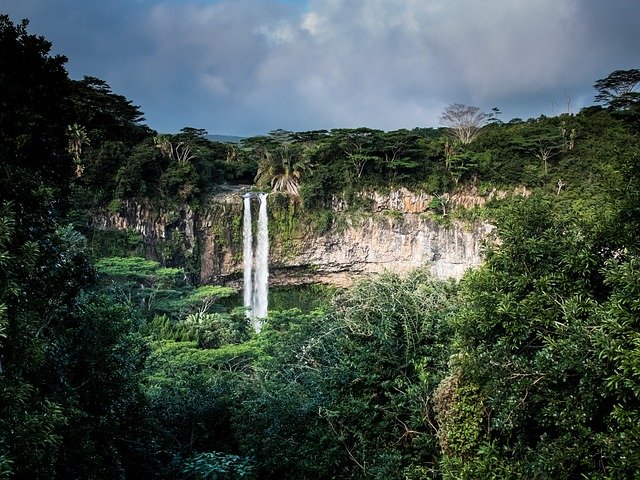 cascadas en selva tropical