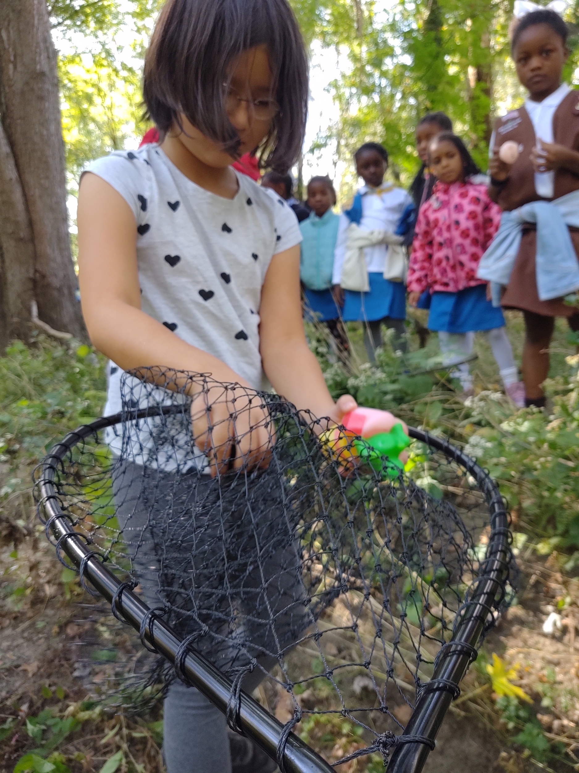 Retrieving Rubber Ducs